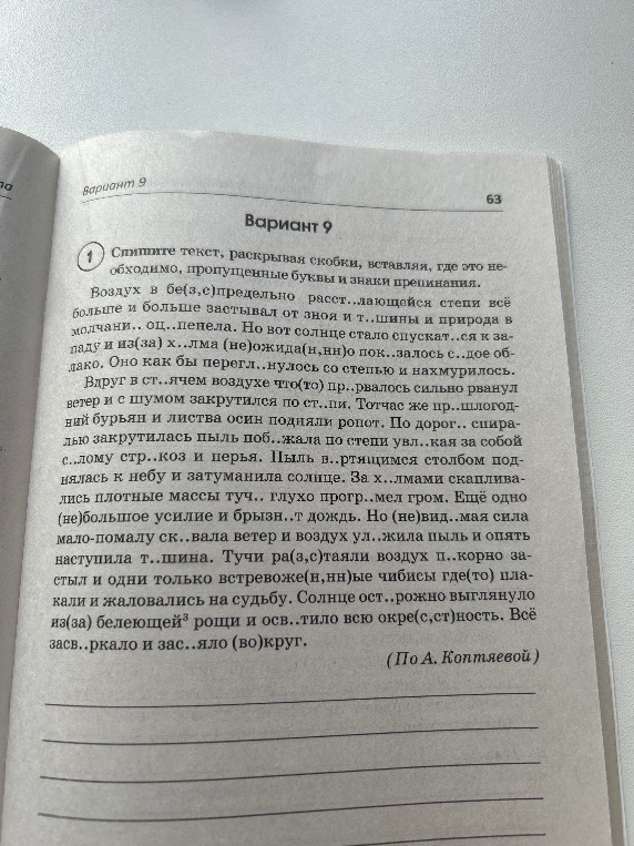 Спишите текст, раскрывая скобки, вставляя, где это необходимо, пропущенные буквы и знаки препинания.