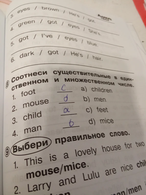3. eyes / brown / He's / got