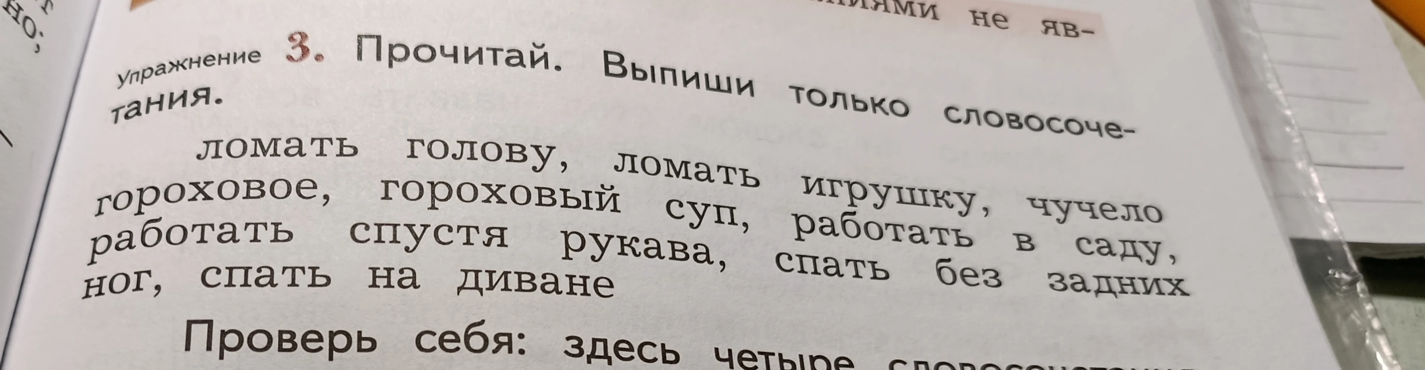 Упражнение 3. Прочитай. Выпиши только словосочетания.