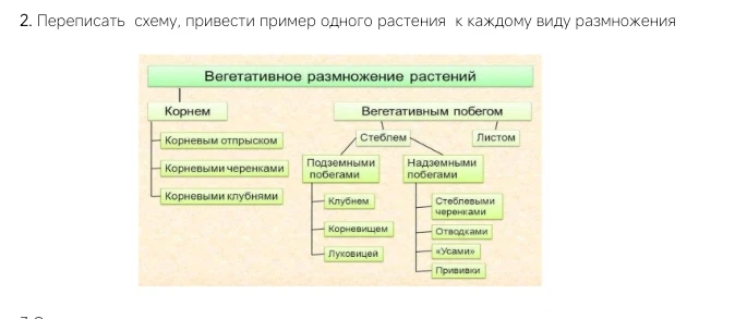 2. Переписать схему, привести пример одного растения к каждому виду размножения