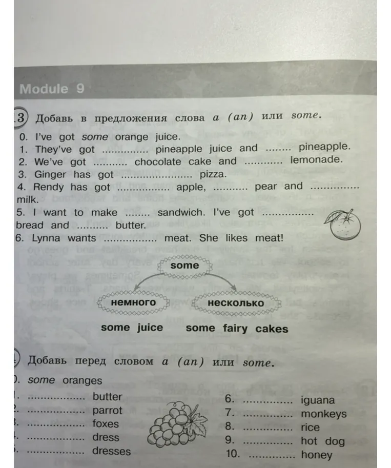 Добавь в предложения слова a (an) или some.
