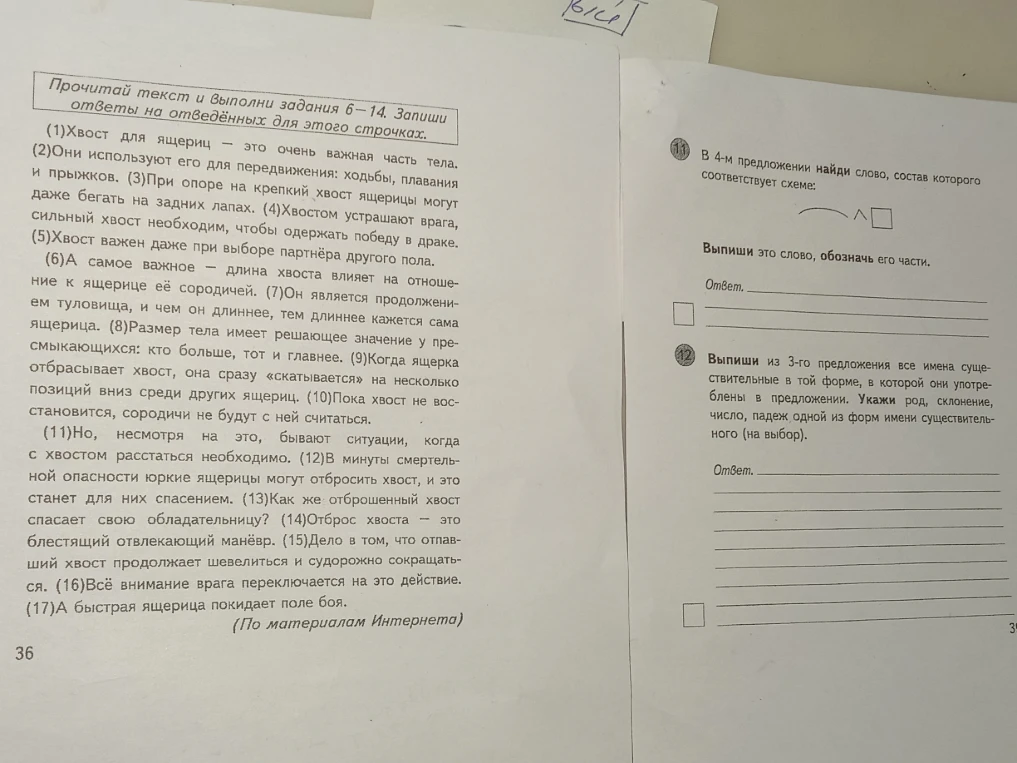 В 4-м предложении найди слово, состав которого соответствует схеме: приставка, корень, суффикс, окончание. Выпиши из 3-го предложения все имена существительные.