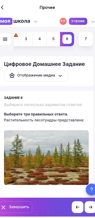 Выберите три правильных ответа. Растительность лесотундры представлена: