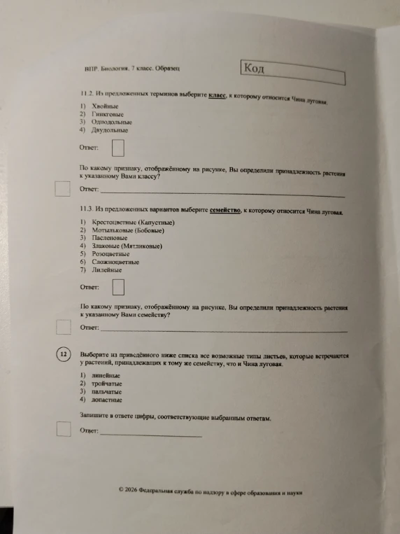 11.2. Из предложенных терминов выберите класс, к которому относится Чина луговая.