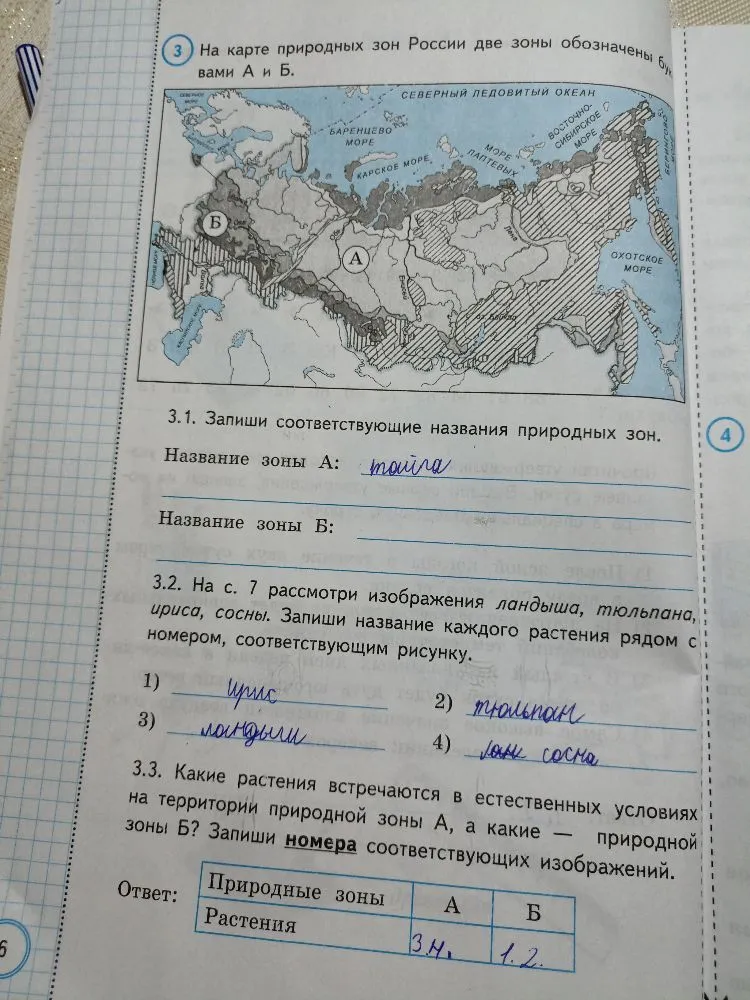 3. На карте природных зон России две зоны обозначены буквами А и Б.