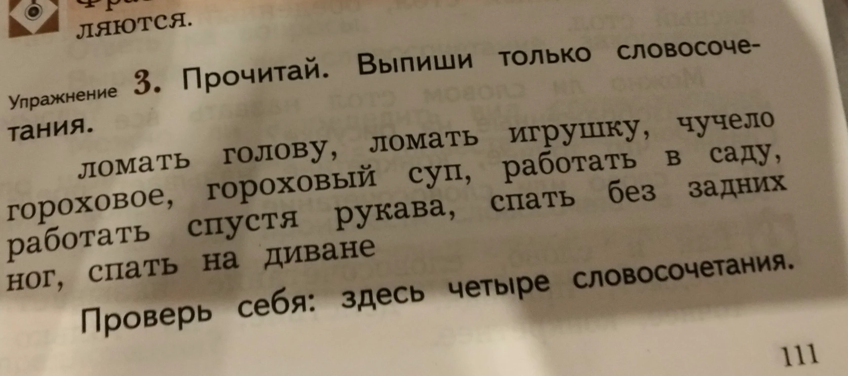 Упражнение 3. Прочитай. Выпиши только словосочетания.
