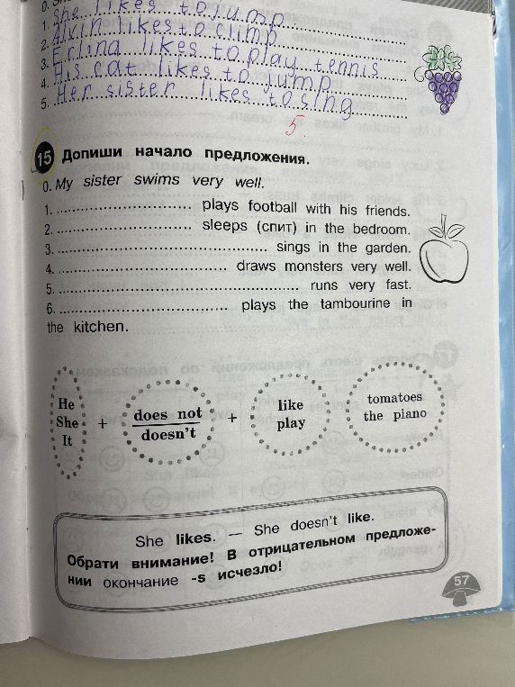 Допиши начало предложения.