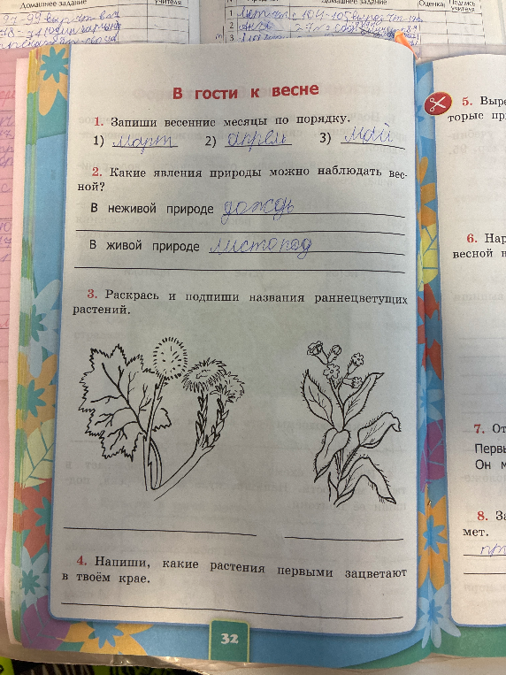 Запиши весенние месяцы по порядку.