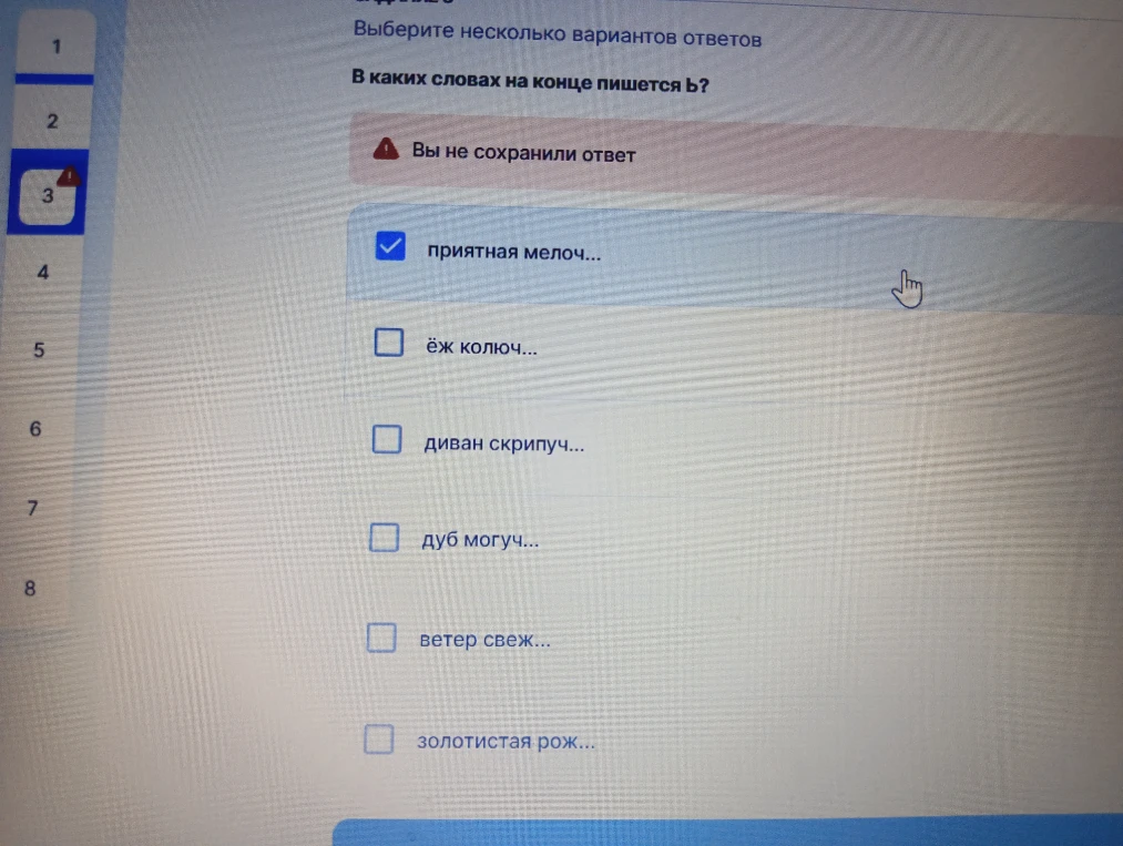 В каких словах на конце пишется ь?