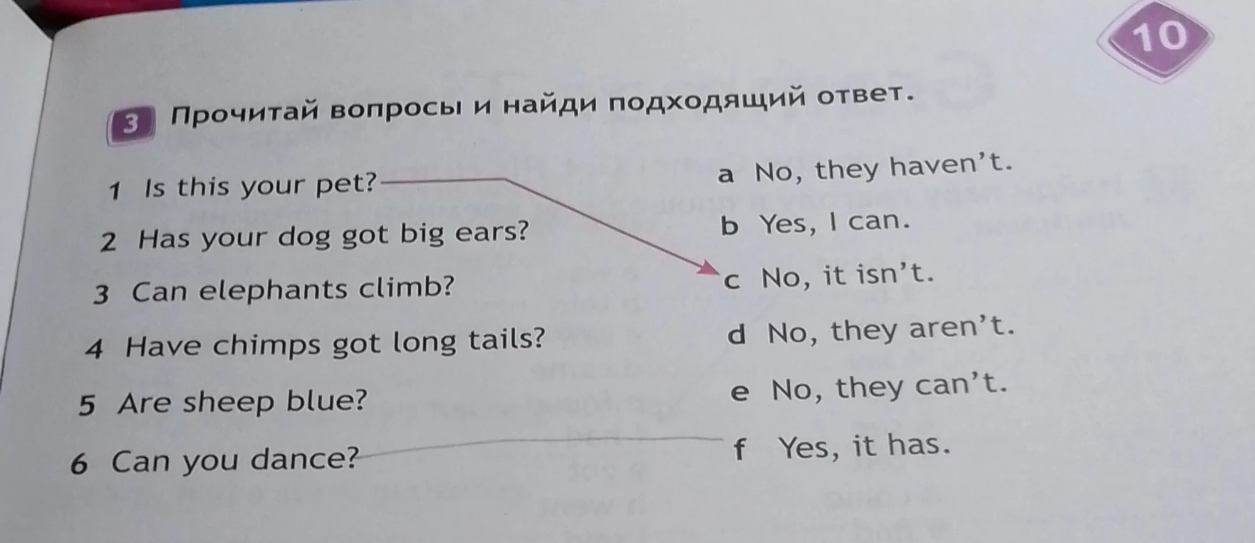 Прочитай вопросы и найди подходящий ответ.