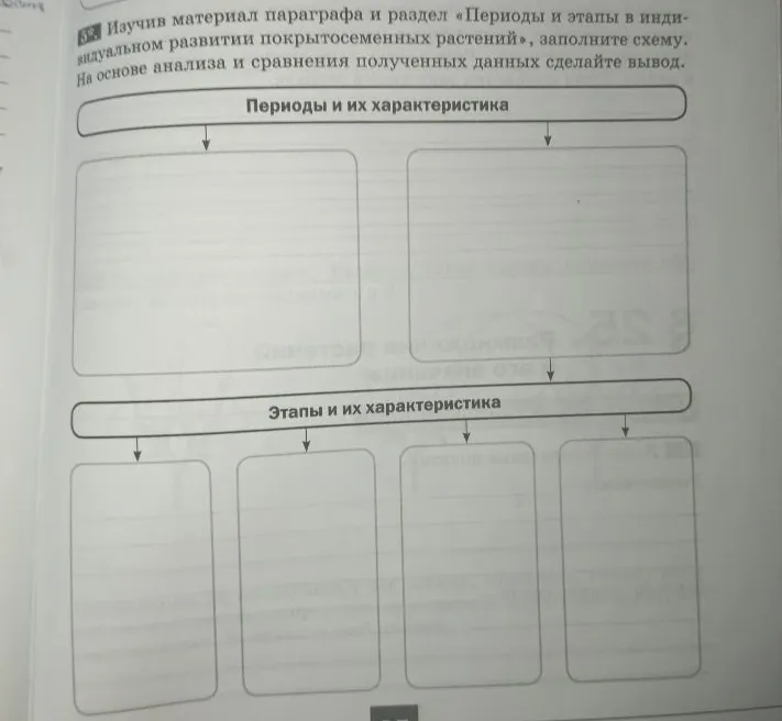 Изучив материал параграфа и раздел «Периоды и этапы в индивидуальном развитии покрытосеменных растений», заполните схему. На основе анализа и сравнения полученных данных сделайте вывод.