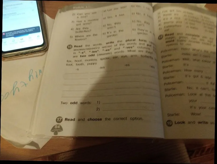 Read the words, write the plural form of the words and put them in '-s', '-ies', '-es' and '-ves' columns. There are two odd (лишние) words. What are they?