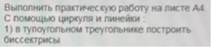 Выполнить практическую работу на листе А4. С помощью циркуля и линейки: 1) в тупоугольном треугольнике построить биссектрисы