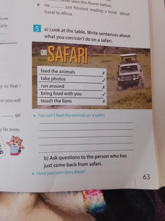 a) Look at the table. Write sentences about what you can/can't do on a safari.