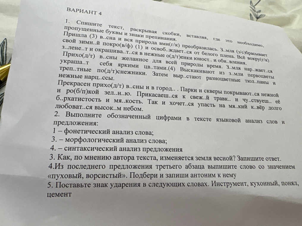 Спишите текст, раскрывая скобки, вставляя, где это необходимо, пропущенные буквы и знаки препинания.