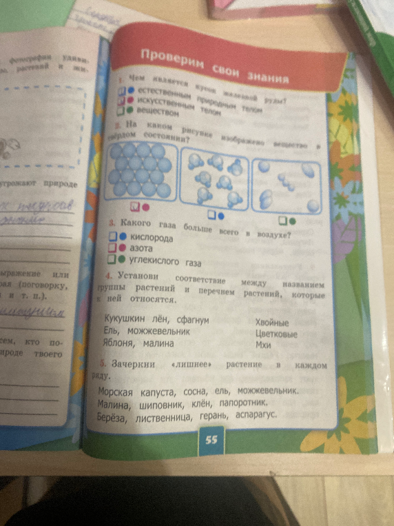 Проверим свои знания 1. Чем является кусок железной руды? 2. На каком рисунке изображено вещество в твердом состоянии? 3. Какого газа больше всего в воздухе? 4. Установи соответствие между названием группы растений и перечнем растений, которые к ней относятся.