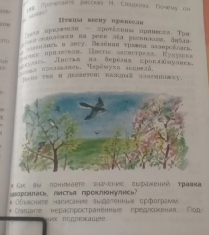 199. Прочитайте рассказ Н. Сладкова. Почему он так назван?