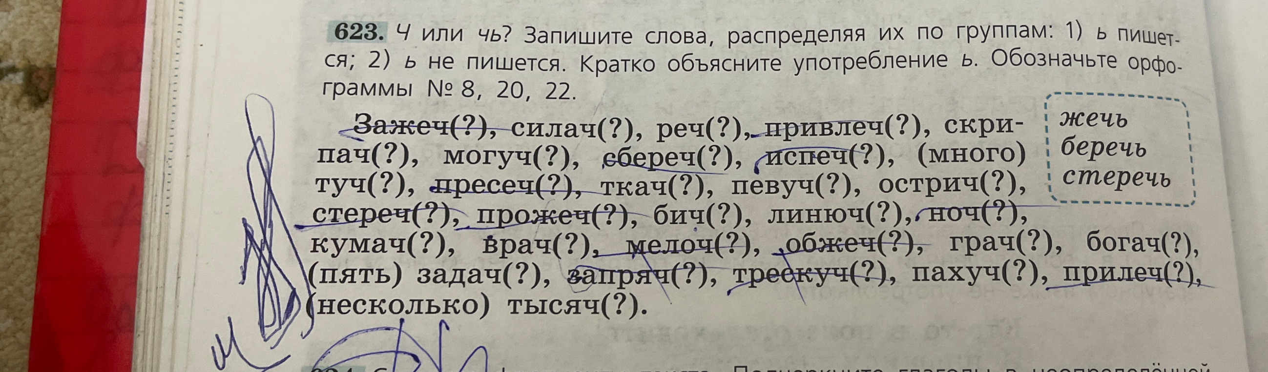 623. Ч или чь? Запишите слова, распределяя их по группам: 1) ь пишется; 2) ь не пишется. Кратко объясните употребление ь. Обозначьте орфограммы № 8, 20, 22.