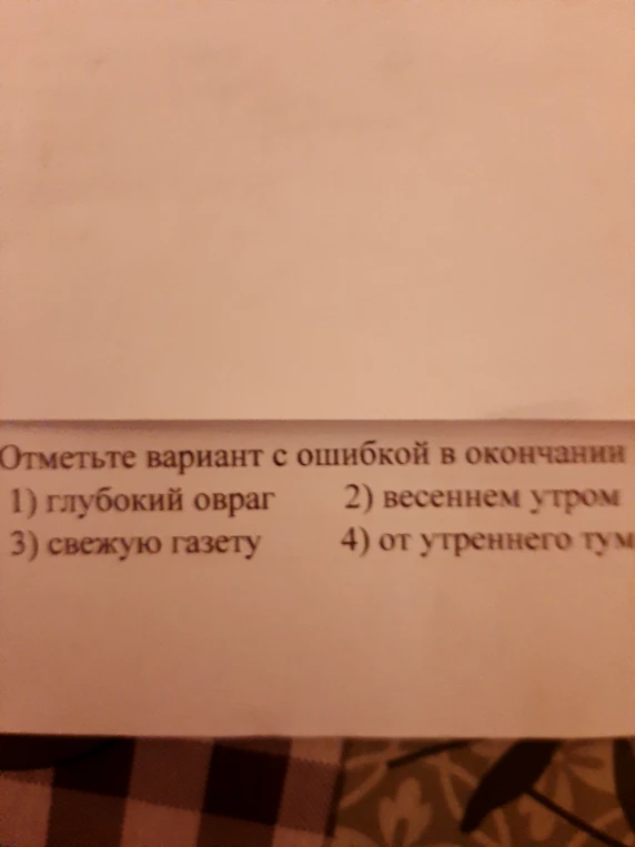Отметьте вариант с ошибкой в окончании