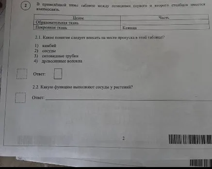2. В приведённой ниже таблице между позициями первого и второго столбцов имеется взаимосвязь.