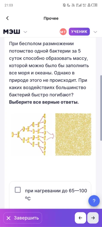 При бесполом размножении потомство одной бактерии за 5 суток способно образовать массу, которой можно было бы заполнить все моря и океаны. Однако в природе этого не происходит. При каких воздействиях большинство бактерий быстро погибают?
