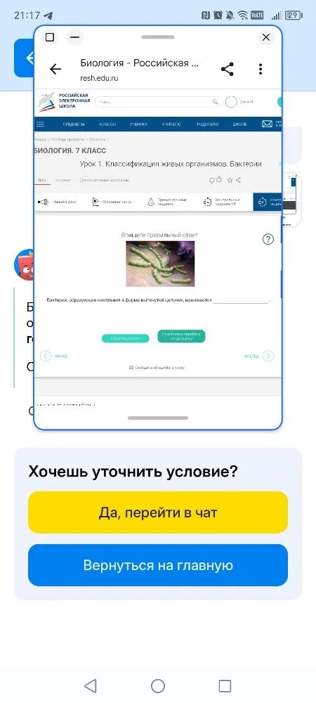 Бактерии, образующие скопления в форме вытянутой цепочки, называются ________