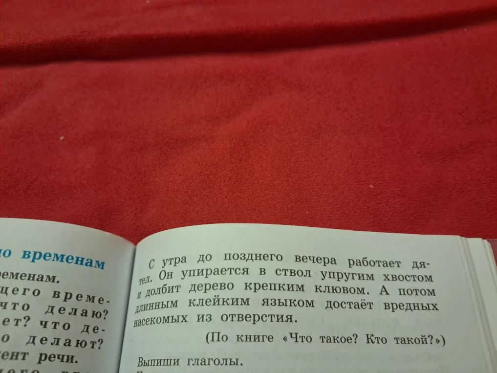 С утра до позднего вечера работает дятел. Он упирается в ствол упругим хвостом и долбит дерево крепким клювом. А потом длинным клейким языком достаёт вредных насекомых из отверстия.