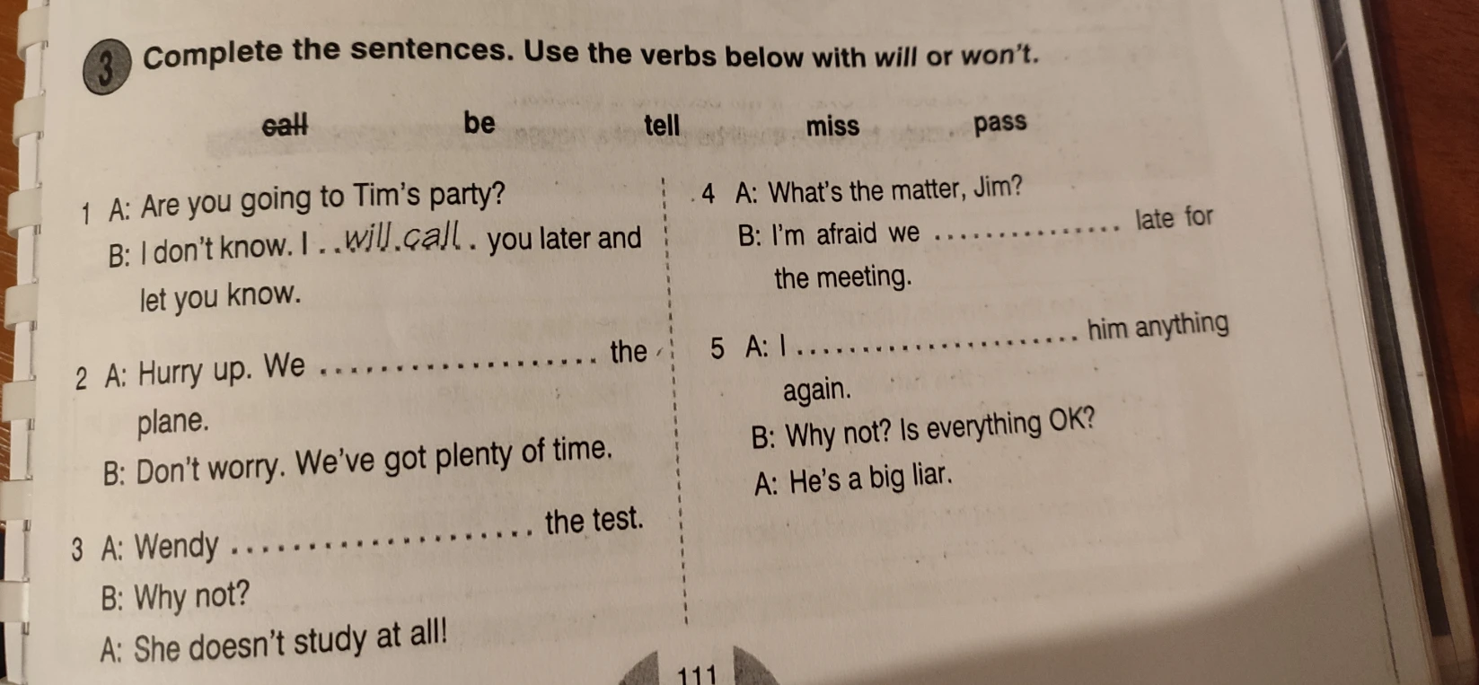 Complete the sentences. Use the verbs below with will or won't.