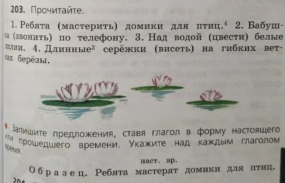 203. Прочитайте. 1. Ребята (мастерить) домики для птиц. 4 2. Бабуш- ка (звонить) по телефону. 3. Над водой (цвести) белые лилии. 4. Длинные2 серёжки (висеть) на гибких вет- ках берёзы.