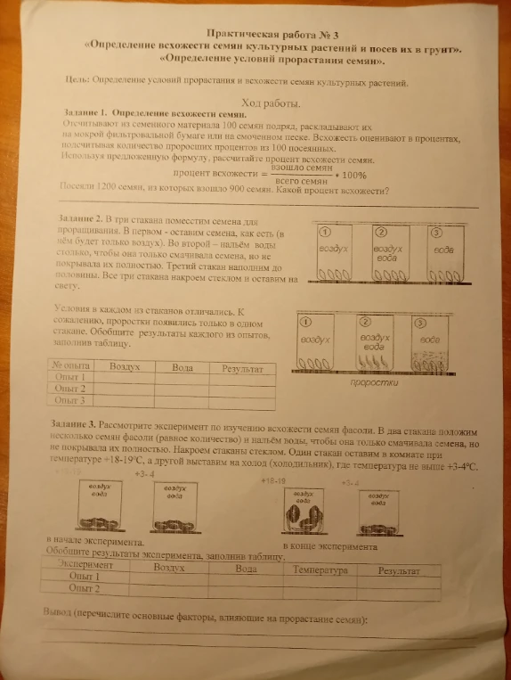 Практическая работа № 3 «Определение всхожести семян культурных растений и посев их в грунт».