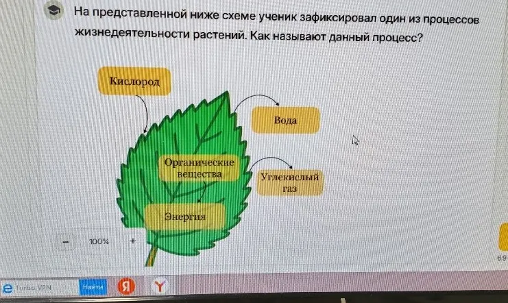На представленной ниже схеме ученик зафиксировал один из процессов жизнедеятельности растений. Как называют данный процесс?