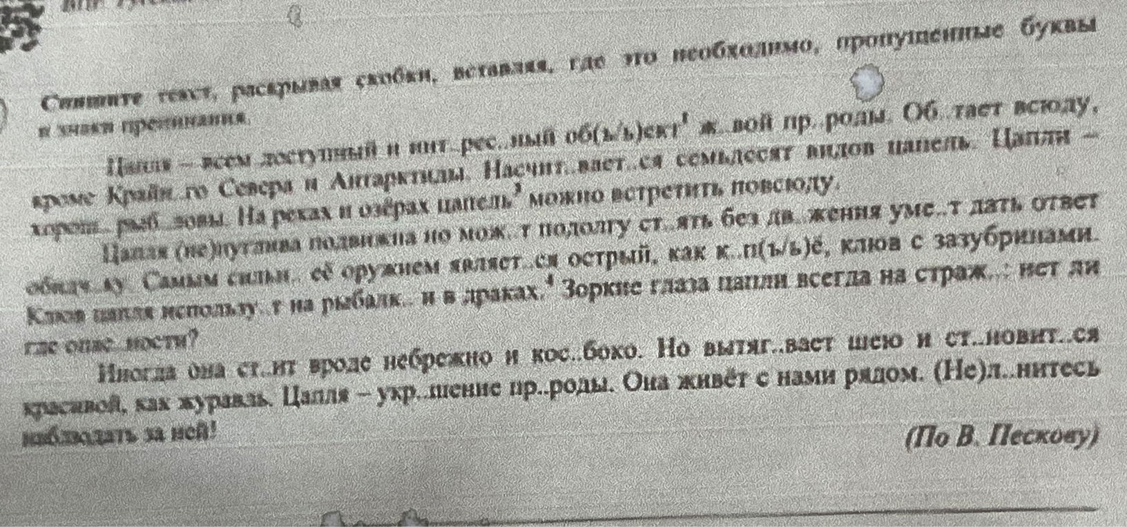 Спишите текст, раскрывая скобки, вставляя, где это необходимо, пропущенные буквы и знаки препинания.