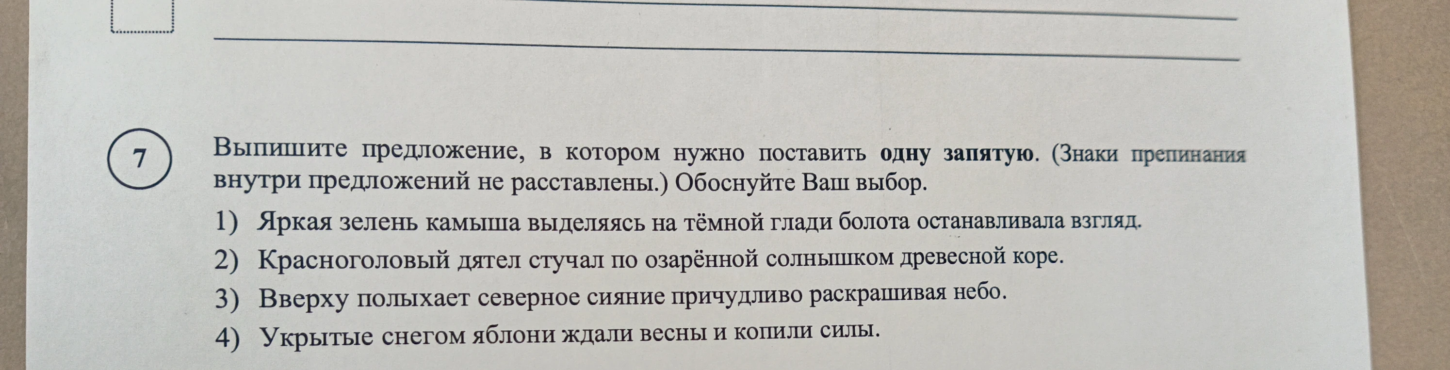 Выпишите предложение, в котором нужно поставить одну запятую. (Знаки препинания внутри предложений не расставлены.) Обоснуйте Ваш выбор.