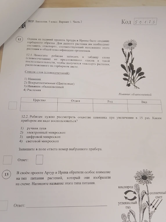 Одним из заданий проекта Артура и Ирины было создание гербарного образца. Для данного растения им необходимо составить «паспорт», соответствующий положению этого растения в общей классификации организмов.