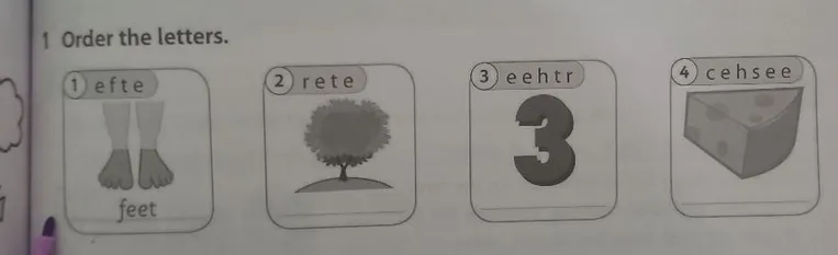 1 Order the letters.