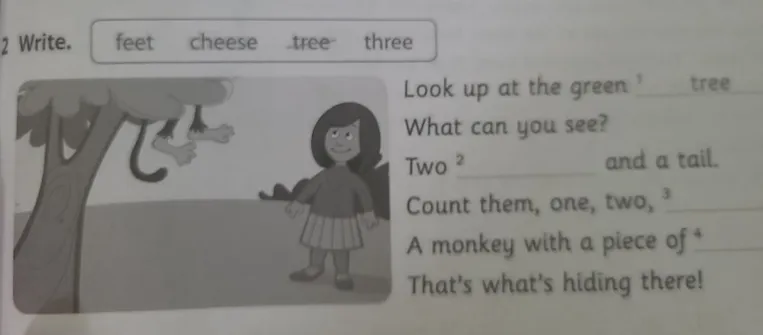 Look up at the green tree. What can you see? Two feet and a tail. Count them, one, two, three. A monkey with a piece of cheese. That's what's hiding there!