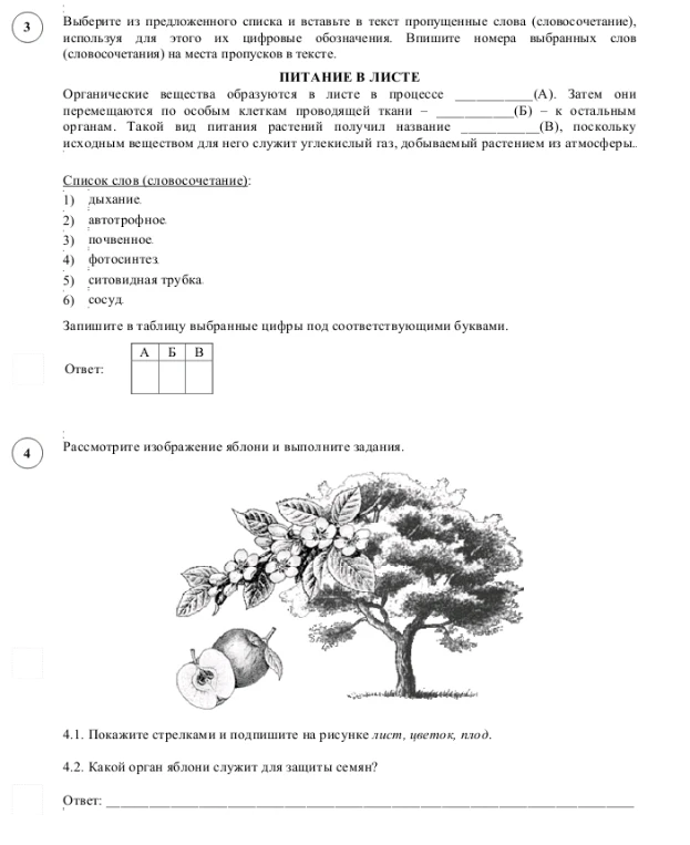 Выберите из предложенного списка и вставьте в текст пропущенные слова (словосочетание), используя для этого их цифровые обозначения.