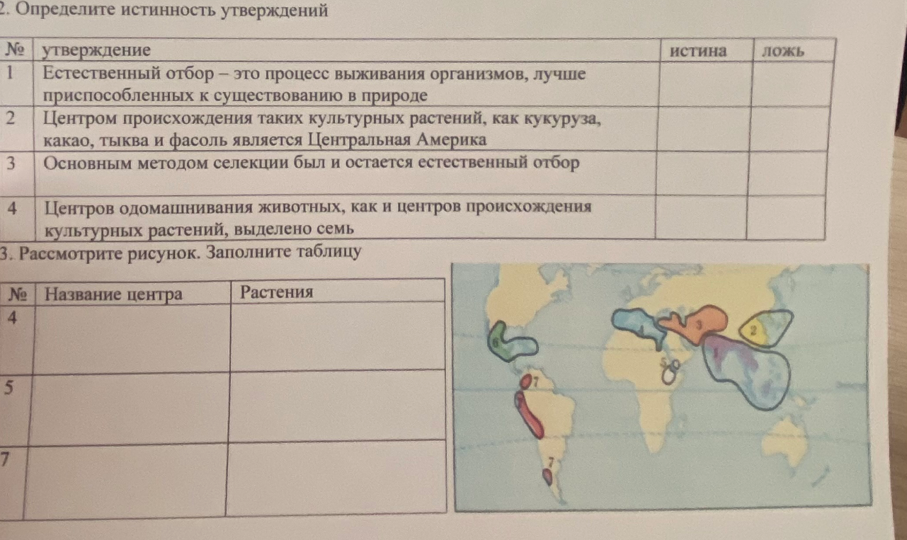 Определите истинность утверждений. Рассмотрите рисунок. Заполните таблицу