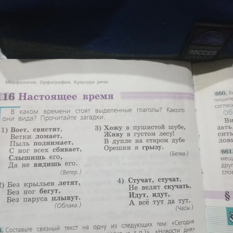 В каком времени стоят выделенные глаголы? Какого они вида? Прочитайте загадки.