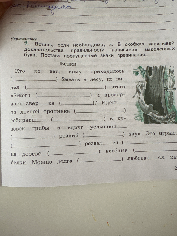 Упражнение 2. Вставь, если необходимо, ь. В скобках записывай доказательства правильности написания выделенных букв. Поставь пропущенные знаки препинания.