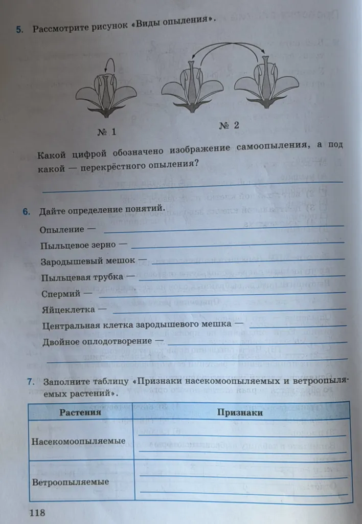 5. Рассмотрите рисунок «Виды опыления». Какой цифрой обозначено изображение самоопыления, а под какой — перекрёстного опыления?