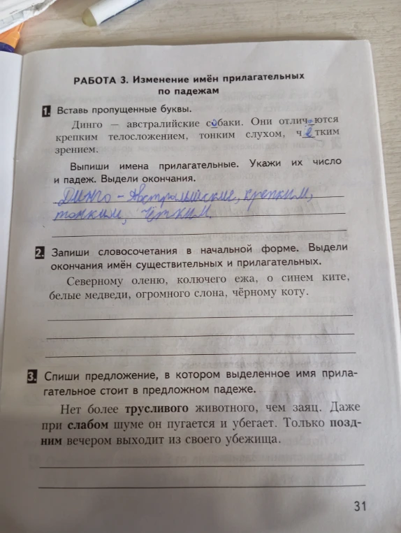 РАБОТА 3. Изменение имён прилагательных по падежам 1. Вставь пропущенные буквы.