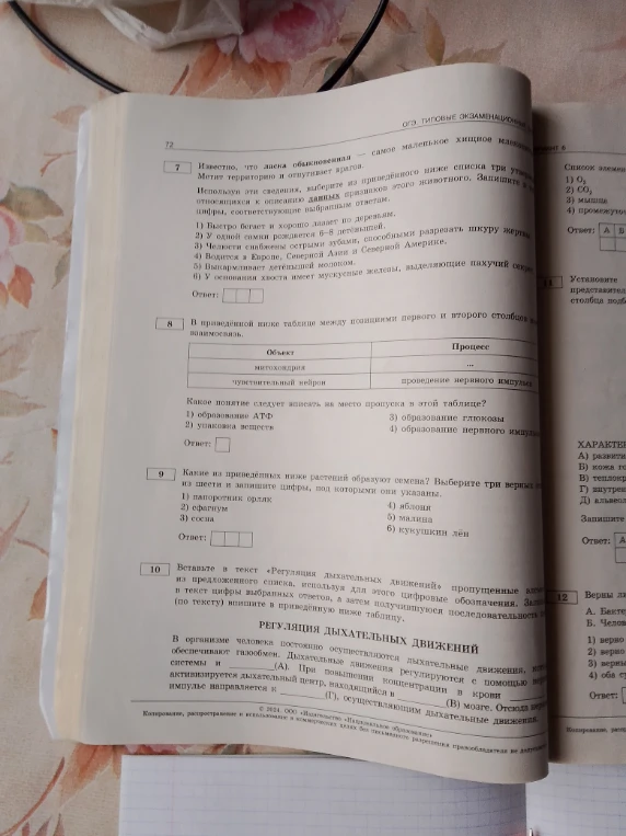 Известно, что ласка обыкновенная — самое маленькое хищное млекопитающее. Метит территорию и отпугивает врагов.