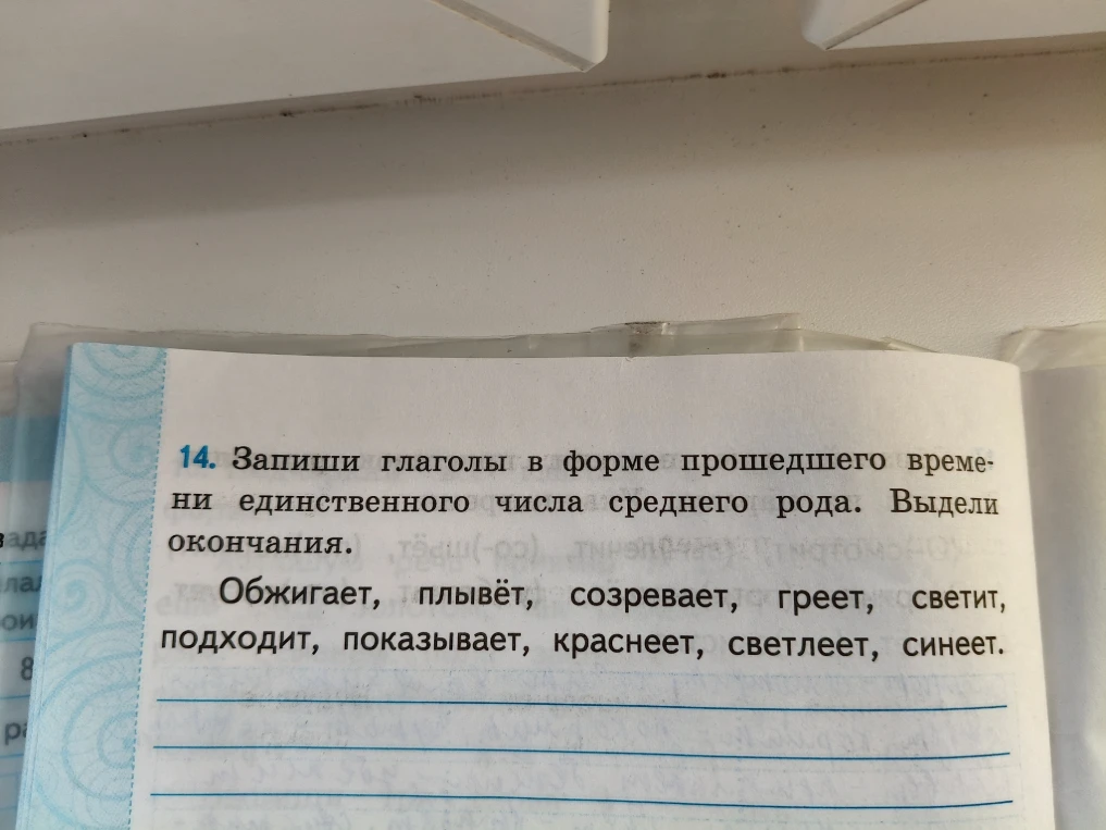 14. Запиши глаголы в форме прошедшего времени единственного числа среднего рода. Выдели окончания.