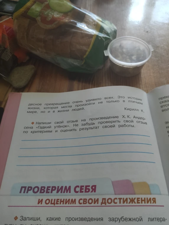 Напиши свой отзыв на произведение Х. К. Андерсена «Гадкий утёнок». Не забудь проверить свой отзыв по критериям и оценить результат своей работы.