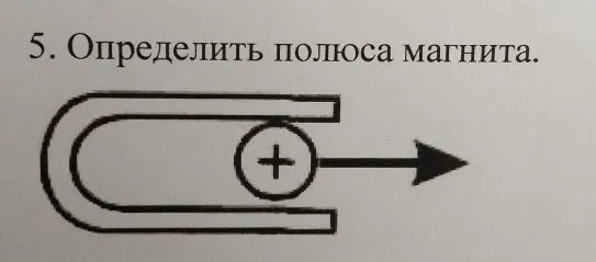 5. Определить полюса магнита.