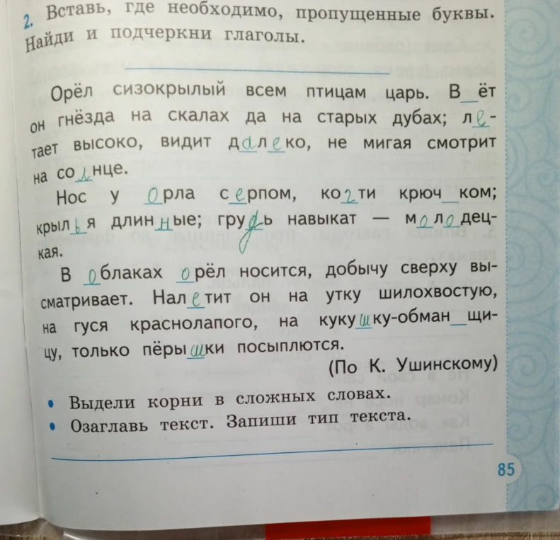 Вставь, где необходимо, пропущенные буквы. Найди и подчеркни глаголы.