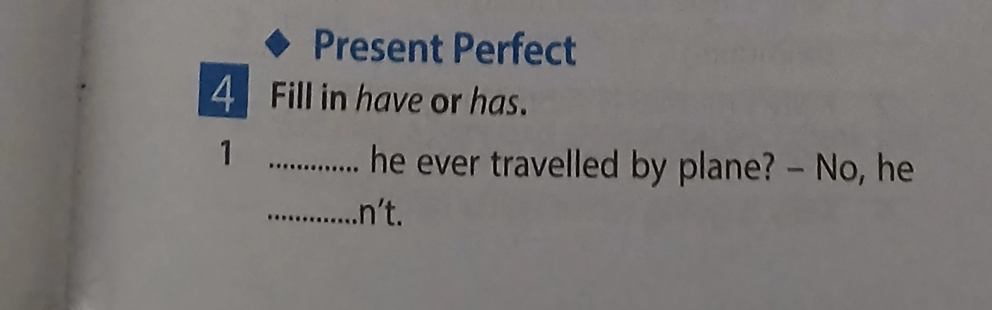 Fill in have or has. 1 ............. he ever travelled by plane? - No, he .............n't.