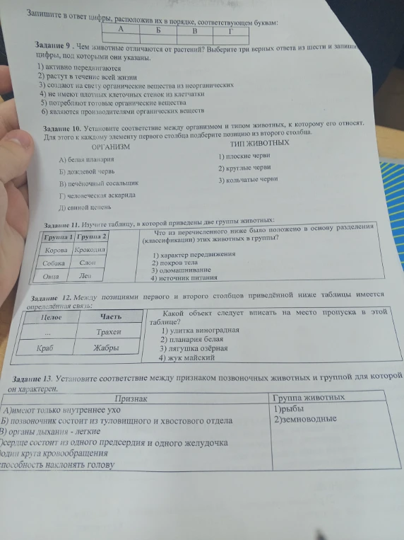 Задание 9 . Чем животные отличаются от растений? Выберите три верных ответа из шести и запишите цифры, под которыми они указаны.