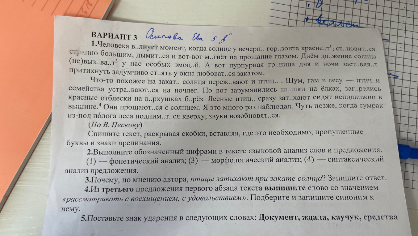 Спишите текст, раскрывая скобки, вставляя, где это необходимо, пропущенные буквы и знаки препинания.